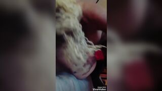 Zafiro_exotica (Thai) OnlyFans Leaks transgender shemale exotic 233