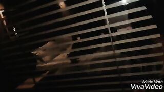 Zafiro_exotica (Thai) OnlyFans Leaks transgender shemale exotic 265