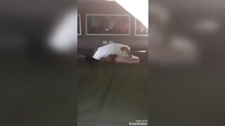 Zafiro_exotica (Thai) OnlyFans Leaks transgender shemale exotic 268