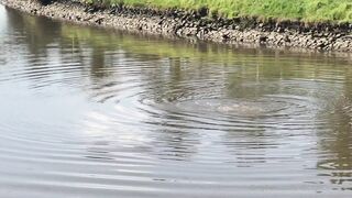 Cocoalicemodel (Coco Alice) OnlyFans Leaks Australian Blonde 19 yo nudist  134