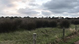 Cocoalicemodel (Coco Alice) OnlyFans Leaks Australian Blonde 19 yo nudist  179