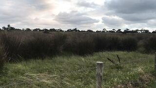 Cocoalicemodel (Coco Alice) OnlyFans Leaks Australian Blonde 19 yo nudist  179