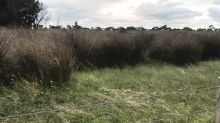 Cocoalicemodel (Coco Alice) OnlyFans Leaks Australian Blonde 19 yo nudist  179