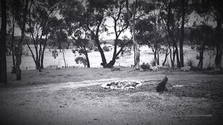 Cocoalicemodel (Coco Alice) OnlyFans Leaks Australian Blonde 19 yo nudist  226