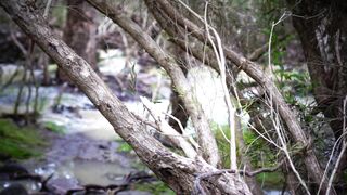 Cocoalicemodel (Coco Alice) OnlyFans Leaks Australian Blonde 19 yo nudist  238