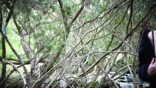 Cocoalicemodel (Coco Alice) OnlyFans Leaks Australian Blonde 19 yo nudist  238