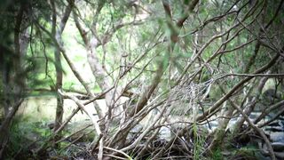 Cocoalicemodel (Coco Alice) OnlyFans Leaks Australian Blonde 19 yo nudist  238