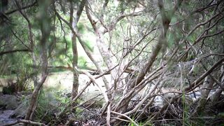 Cocoalicemodel (Coco Alice) OnlyFans Leaks Australian Blonde 19 yo nudist  238