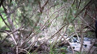 Cocoalicemodel (Coco Alice) OnlyFans Leaks Australian Blonde 19 yo nudist  238