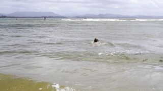 Cocoalicemodel (Coco Alice) OnlyFans Leaks Australian Blonde 19 yo nudist  260