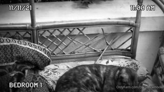 Cocoalicemodel (Coco Alice) OnlyFans Leaks Australian Blonde 19 yo nudist  306