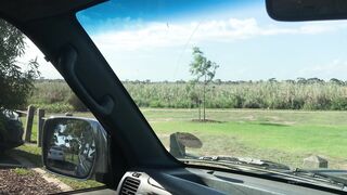 Cocoalicemodel (Coco Alice) OnlyFans Leaks Australian Blonde 19 yo nudist  72