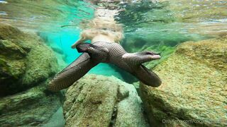 Cocoalicemodel (Coco Alice) OnlyFans Leaks Australian Blonde 19 yr old nudist 690