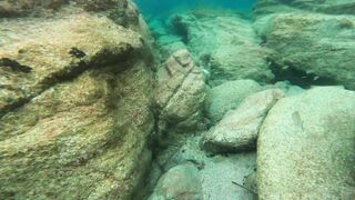 Cocoalicemodel (Coco Alice) OnlyFans Leaks Australian Blonde 19 yr old nudist 690