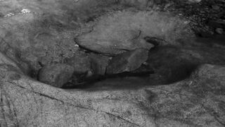 Cocoalicemodel (Coco Alice) OnlyFans Leaks Australian Blonde 19 yr old nudist 599