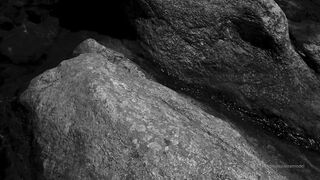 Cocoalicemodel (Coco Alice) OnlyFans Leaks Australian Blonde 19 yr old nudist 599