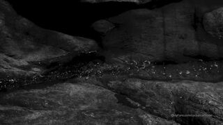 Cocoalicemodel (Coco Alice) OnlyFans Leaks Australian Blonde 19 yr old nudist 599