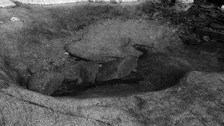 Cocoalicemodel (Coco Alice) OnlyFans Leaks Australian Blonde 19 yr old nudist 599