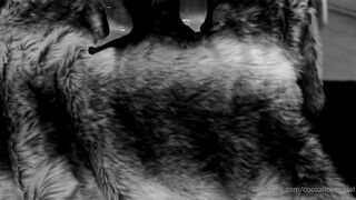 Cocoalicemodel (Coco Alice) OnlyFans Leaks Australian Blonde 19 yr old nudist 848