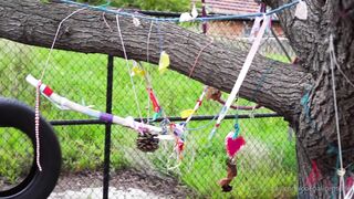 Cocoalicemodel (Coco Alice) OnlyFans Leaks Australian Blonde 19 yr old nudist 276