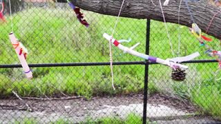 Cocoalicemodel (Coco Alice) OnlyFans Leaks Australian Blonde 19 yr old nudist 276