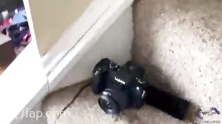 CuioGeo Black Bodybuilder Onlyfans Leaks Sex Porn Video 10