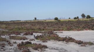 Cocoalicemodel (Coco Alice) OnlyFans Leaks Australian Blonde 19 yr old nudist 811