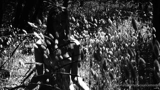 Cocoalicemodel (Coco Alice) OnlyFans Leaks Australian Blonde 19 yr old nudist 26