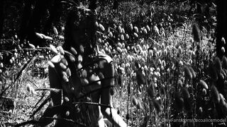 Cocoalicemodel (Coco Alice) OnlyFans Leaks Australian Blonde 19 yr old nudist 26