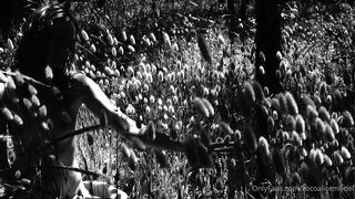 Cocoalicemodel (Coco Alice) OnlyFans Leaks Australian Blonde 19 yr old nudist 26