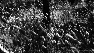 Cocoalicemodel (Coco Alice) OnlyFans Leaks Australian Blonde 19 yr old nudist 26