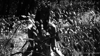 Cocoalicemodel (Coco Alice) OnlyFans Leaks Australian Blonde 19 yr old nudist 26