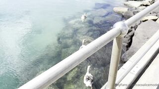 Cocoalicemodel (Coco Alice) OnlyFans Leaks Australian Blonde 19 yr old nudist 966