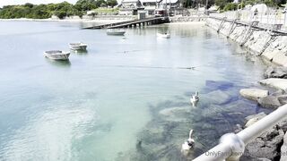 Cocoalicemodel (Coco Alice) OnlyFans Leaks Australian Blonde 19 yr old nudist 966