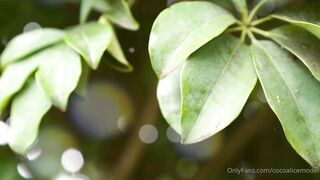 Cocoalicemodel (Coco Alice) OnlyFans Leaks Australian Blonde 19 yr old nudist 920