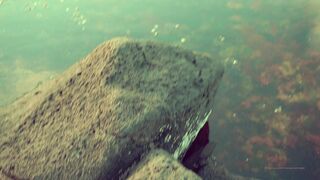 Cocoalicemodel (Coco Alice) OnlyFans Leaks Australian Blonde 19 yr old nudist 420