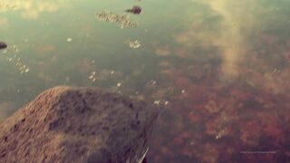 Cocoalicemodel (Coco Alice) OnlyFans Leaks Australian Blonde 19 yr old nudist 420