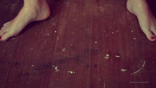 Cocoalicemodel (Coco Alice) OnlyFans Leaks Australian Blonde 19 yr old nudist 473