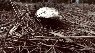 Cocoalicemodel (Coco Alice) OnlyFans Leaks Australian Blonde 19 yr old nudist 346