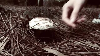 Cocoalicemodel (Coco Alice) OnlyFans Leaks Australian Blonde 19 yr old nudist 346