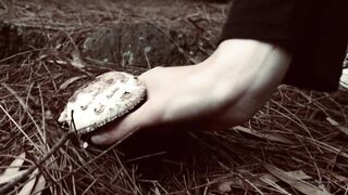 Cocoalicemodel (Coco Alice) OnlyFans Leaks Australian Blonde 19 yr old nudist 346