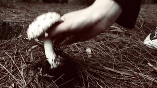 Cocoalicemodel (Coco Alice) OnlyFans Leaks Australian Blonde 19 yr old nudist 346