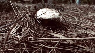 Cocoalicemodel (Coco Alice) OnlyFans Leaks Australian Blonde 19 yr old nudist 346