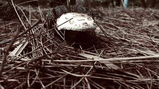 Cocoalicemodel (Coco Alice) OnlyFans Leaks Australian Blonde 19 yr old nudist 346