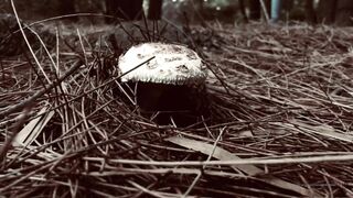 Cocoalicemodel (Coco Alice) OnlyFans Leaks Australian Blonde 19 yr old nudist 346