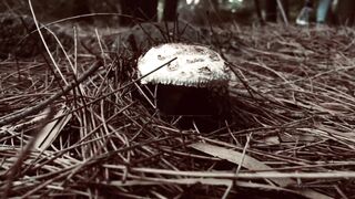 Cocoalicemodel (Coco Alice) OnlyFans Leaks Australian Blonde 19 yr old nudist 346