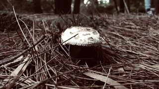 Cocoalicemodel (Coco Alice) OnlyFans Leaks Australian Blonde 19 yr old nudist 346