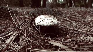 Cocoalicemodel (Coco Alice) OnlyFans Leaks Australian Blonde 19 yr old nudist 346