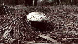 Cocoalicemodel (Coco Alice) OnlyFans Leaks Australian Blonde 19 yr old nudist 346