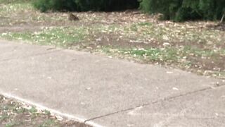 Cocoalicemodel (Coco Alice) OnlyFans Leaks Australian Blonde 19 yr old nudist 356